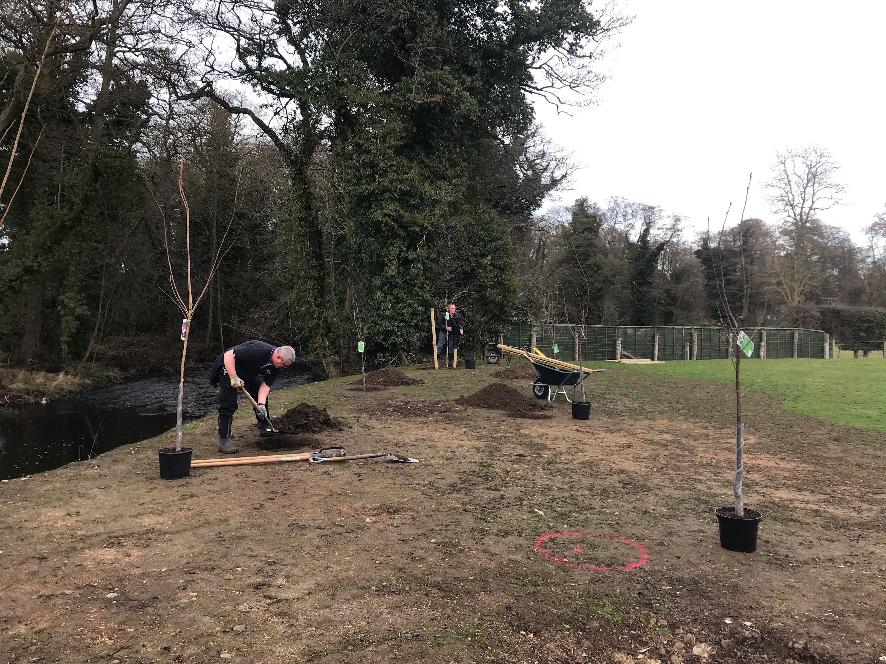 5th March  - New Trees!